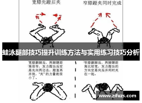 蛙泳腿部技巧提升训练方法与实用练习技巧分析